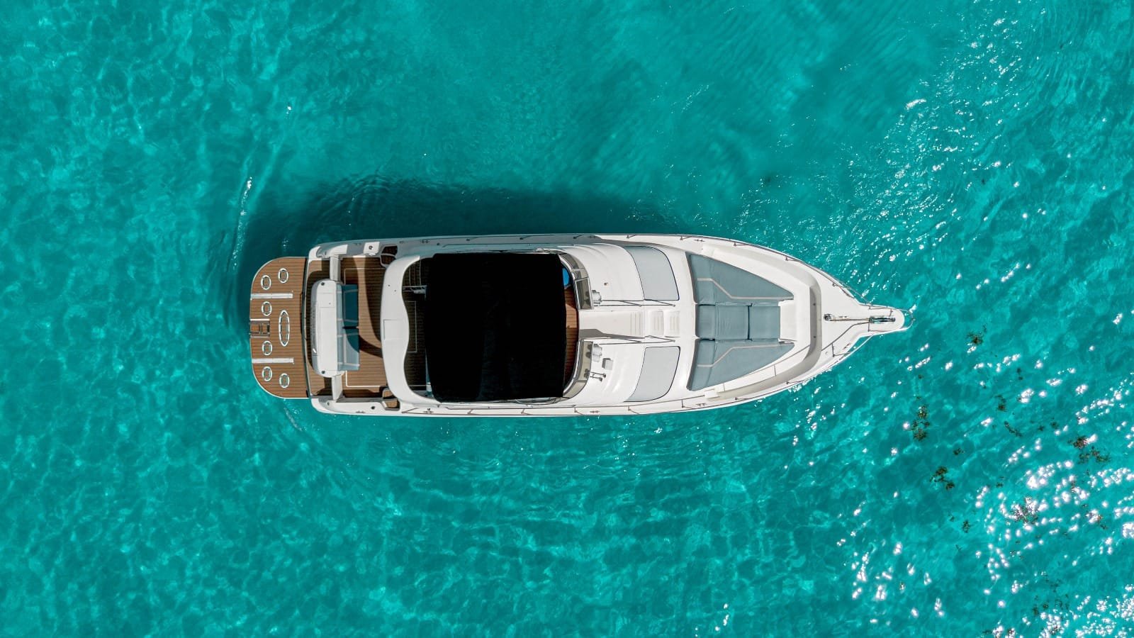 WhatsApp Image 2025-08-21 at 2.54.53 PM